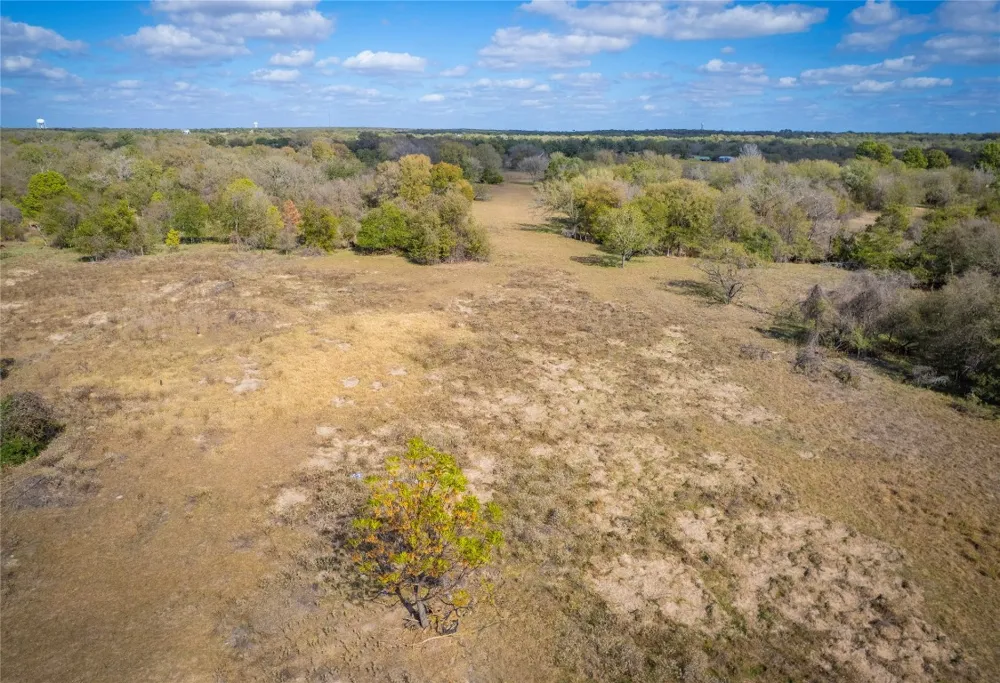 Armadillo Lane Bastrop, TX 78602