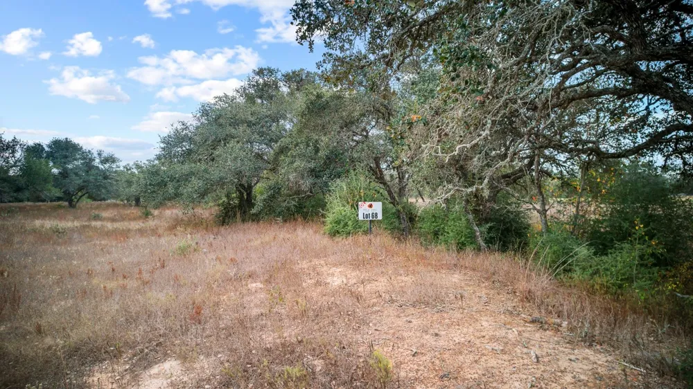 WILD WING PRESERVE Columbus, TX 78640