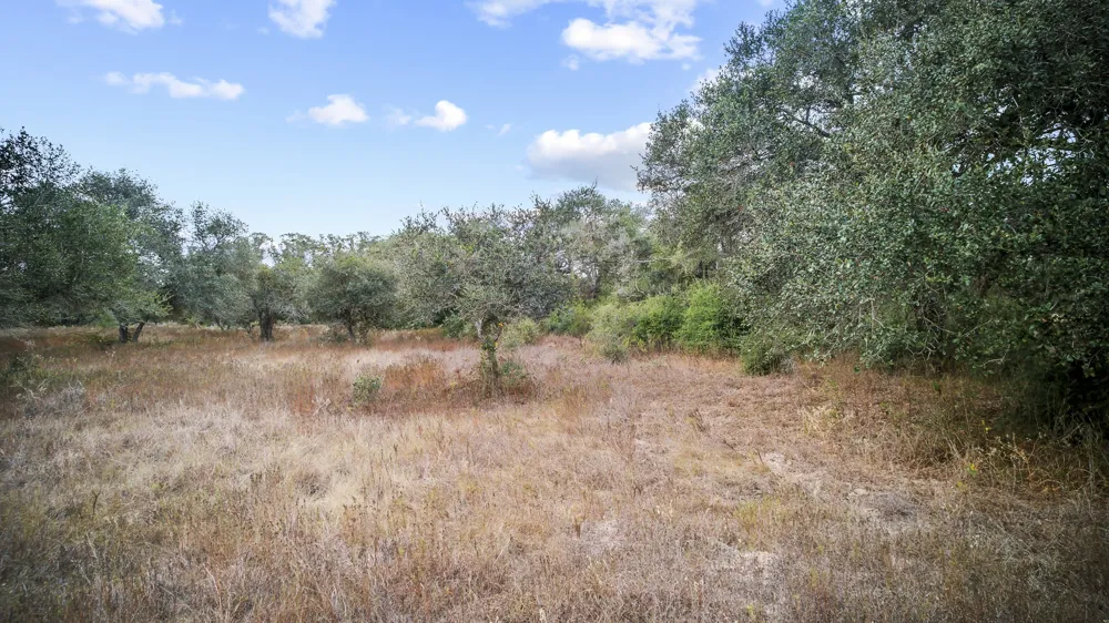WILD WING PRESERVE Columbus, TX 78640
