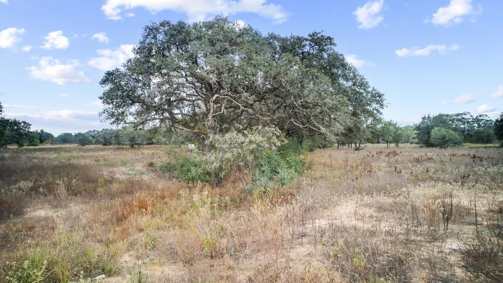 WILD WING PRESERVE Columbus, TX 78640