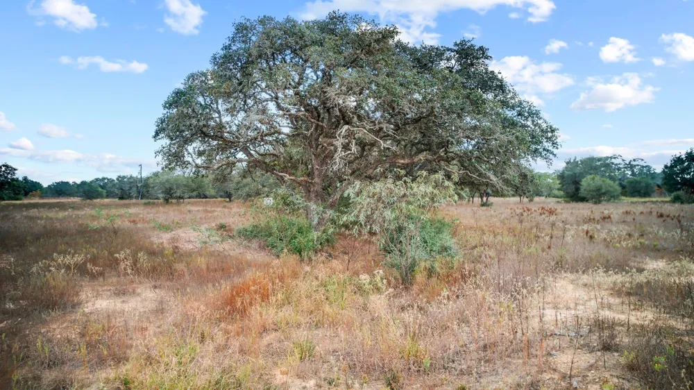 WILD WING PRESERVE Columbus, TX 78640