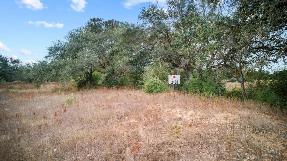 WILD WING PRESERVE Columbus, TX 78640