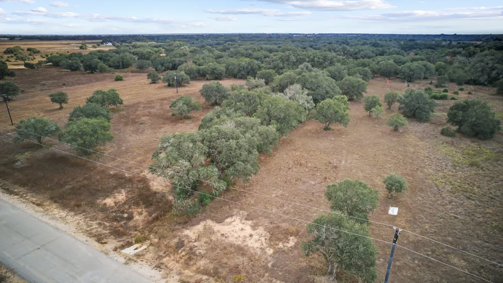 WILD WING PRESERVE Columbus, TX 78640