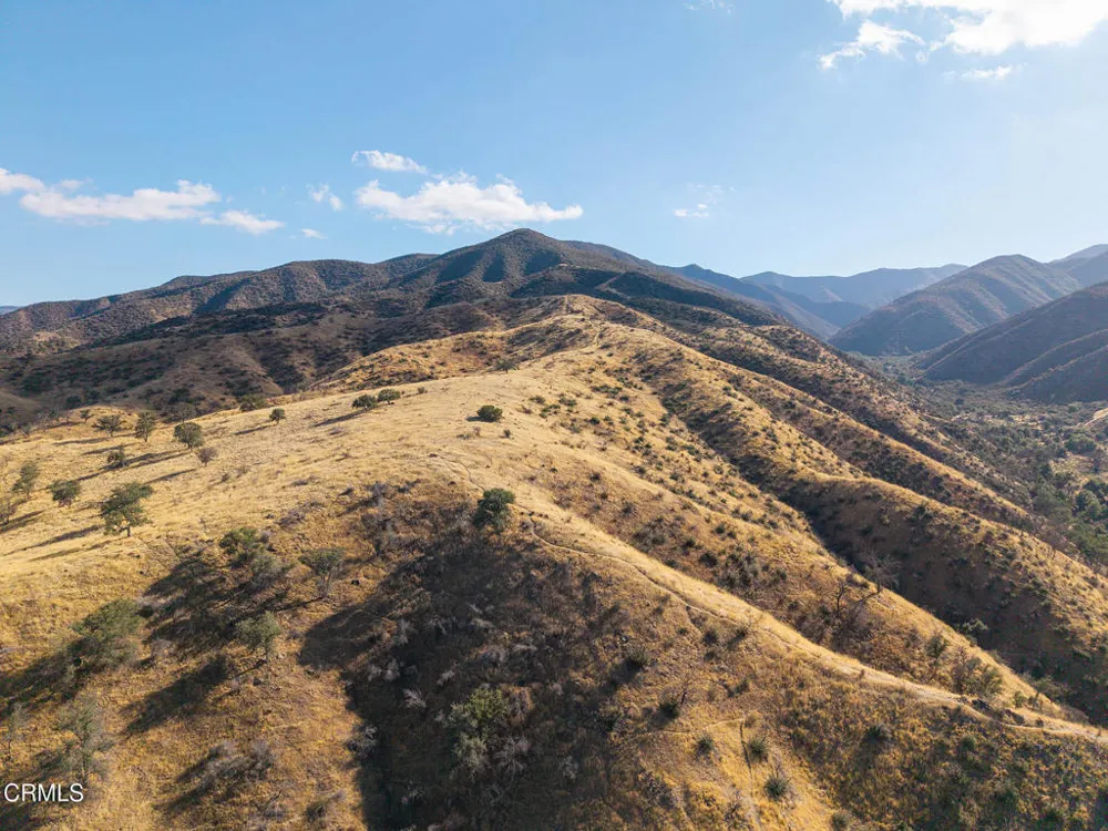 2170 Aliso Park Road Cuyama, CA 93254