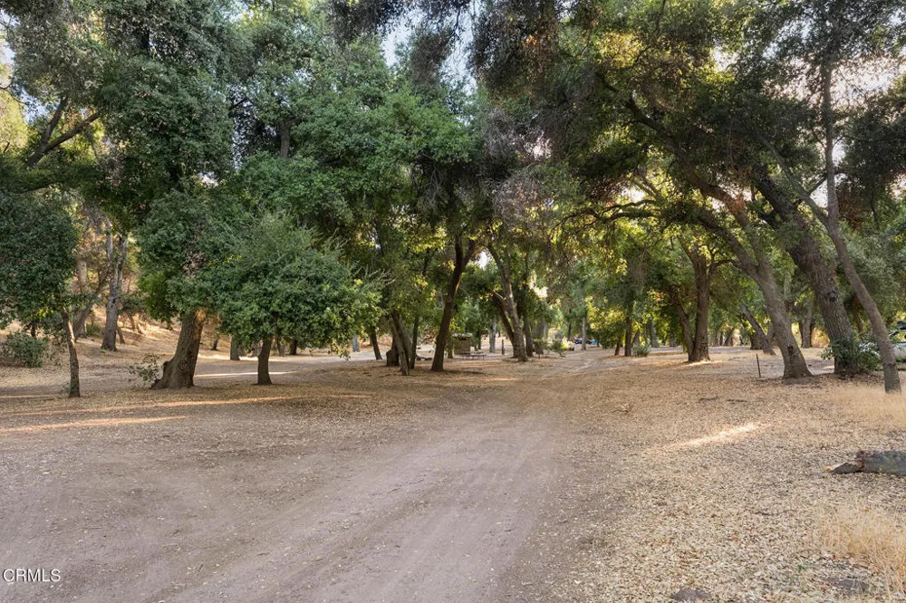 2170 Aliso Park Road Cuyama, CA 93254