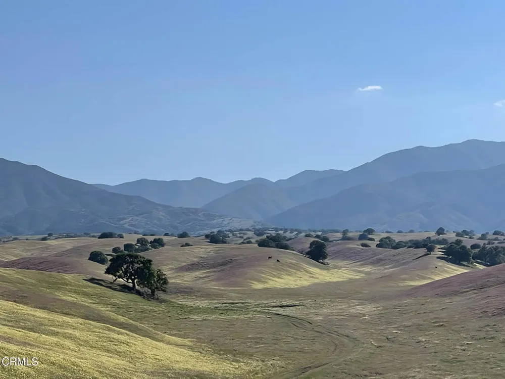 2170 Aliso Park Road Cuyama, CA 93254