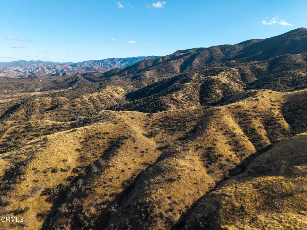 2170 Aliso Park Road Cuyama, CA 93254