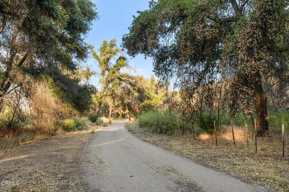 2170 Aliso Park Road Cuyama, CA 93254