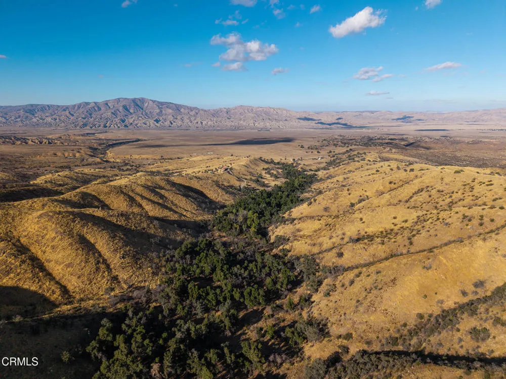 2170 Aliso Park Road Cuyama, CA 93254
