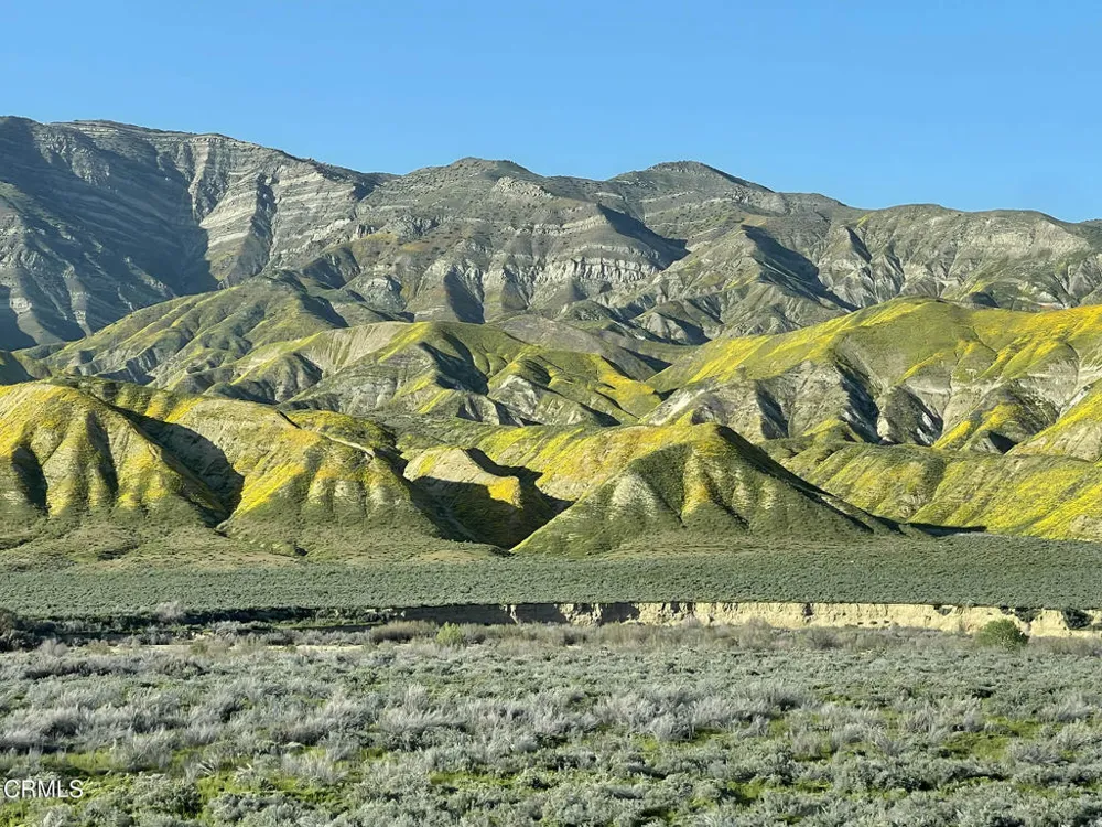 2170 Aliso Park Road Cuyama, CA 93254
