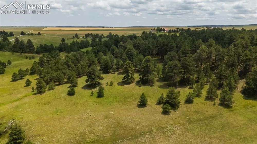 11771 E Smith Road Elbert, CO 80106