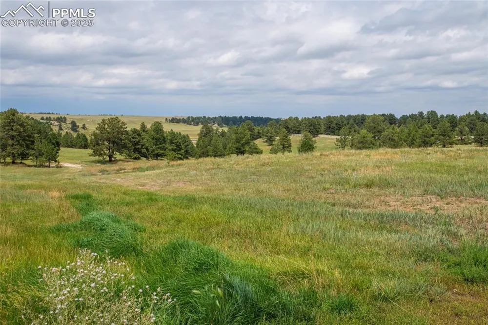 11771 E Smith Road Elbert, CO 80106