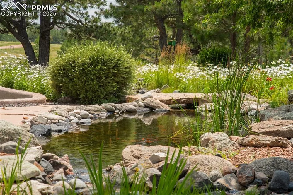 11771 E Smith Road Elbert, CO 80106