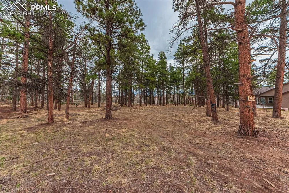 1290 Firestone Drive Woodland Park, CO 80863