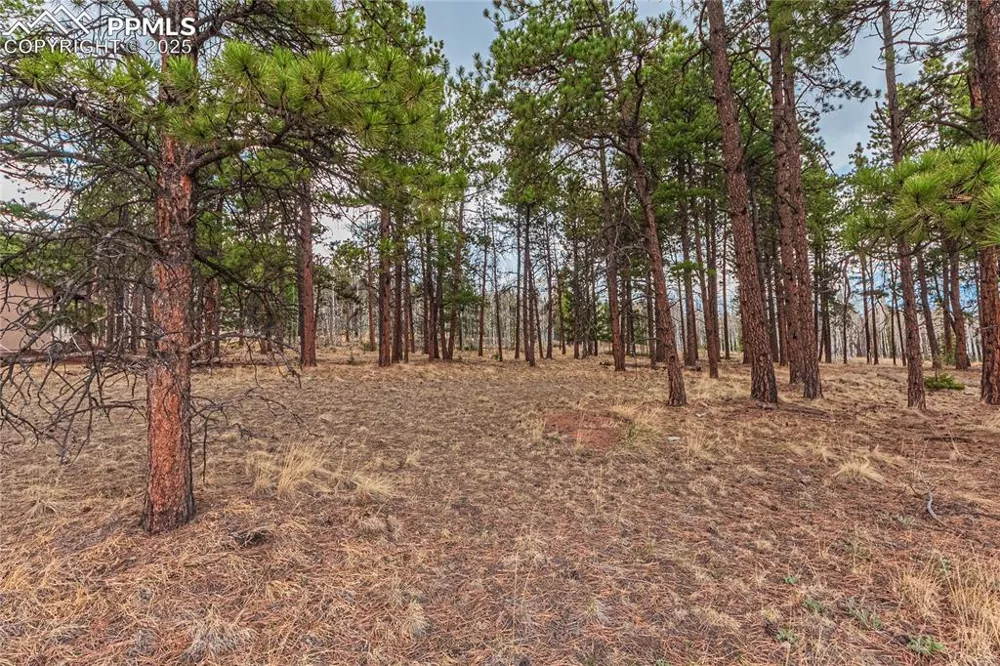1290 Firestone Drive Woodland Park, CO 80863