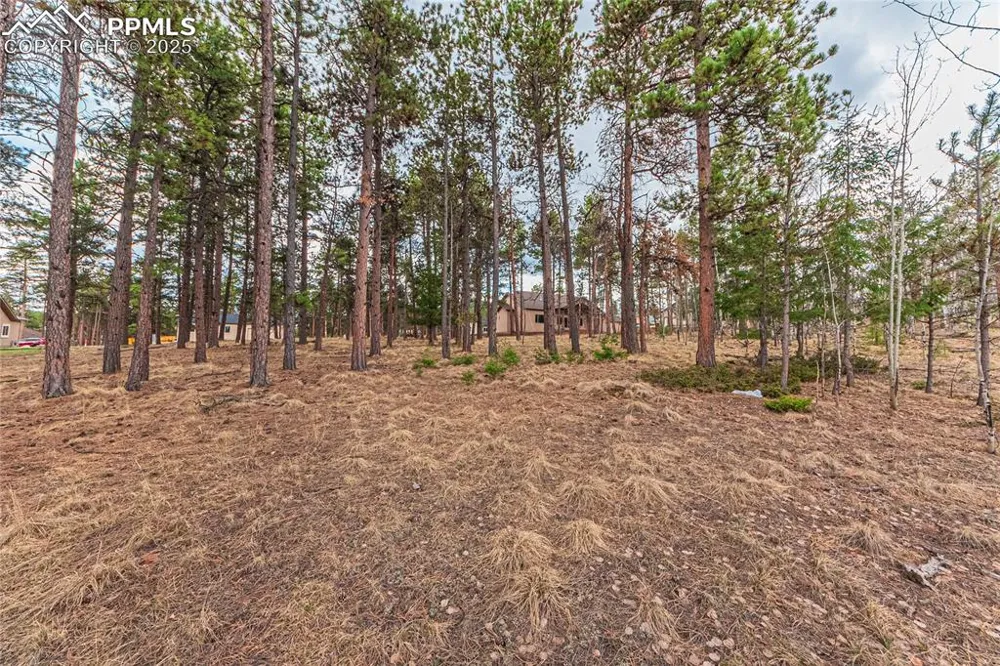 1290 Firestone Drive Woodland Park, CO 80863