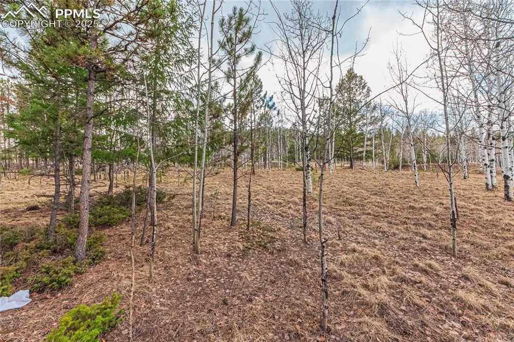 1290 Firestone Drive Woodland Park, CO 80863