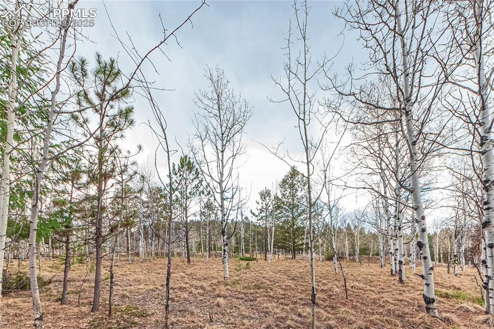1290 Firestone Drive Woodland Park, CO 80863