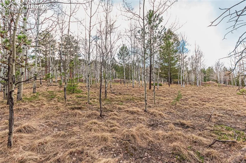 1290 Firestone Drive Woodland Park, CO 80863