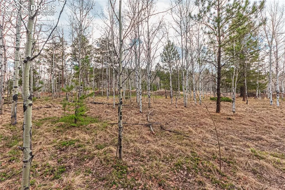 1290 Firestone Drive Woodland Park, CO 80863