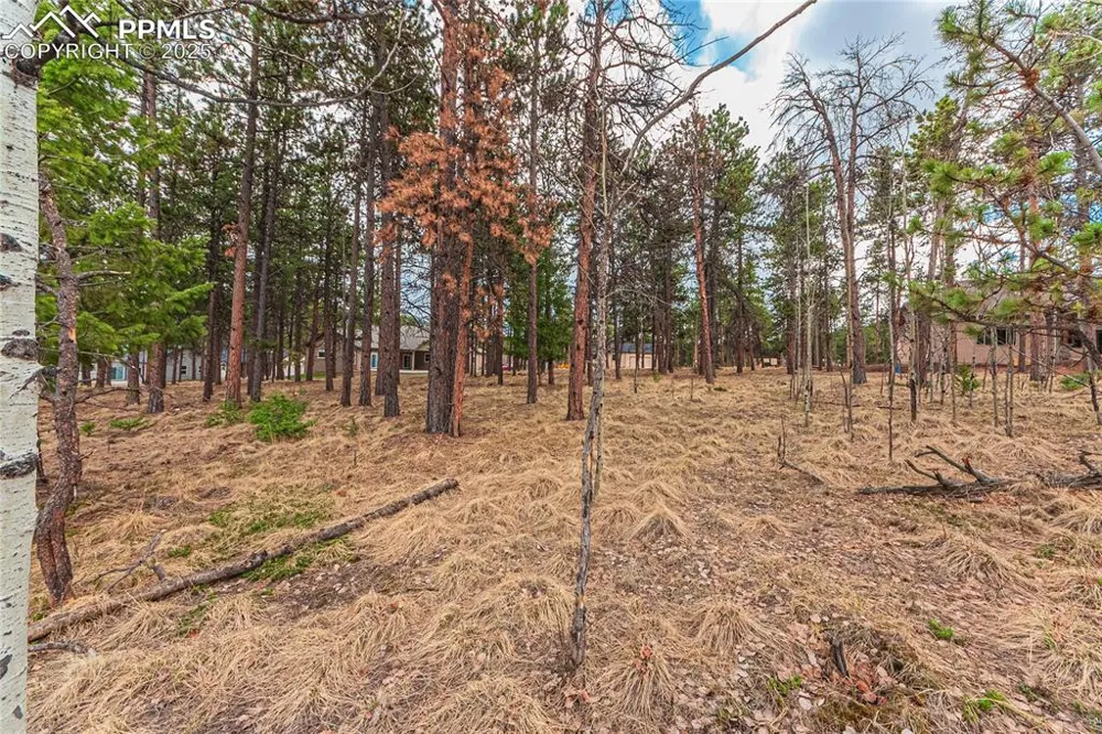 1290 Firestone Drive Woodland Park, CO 80863