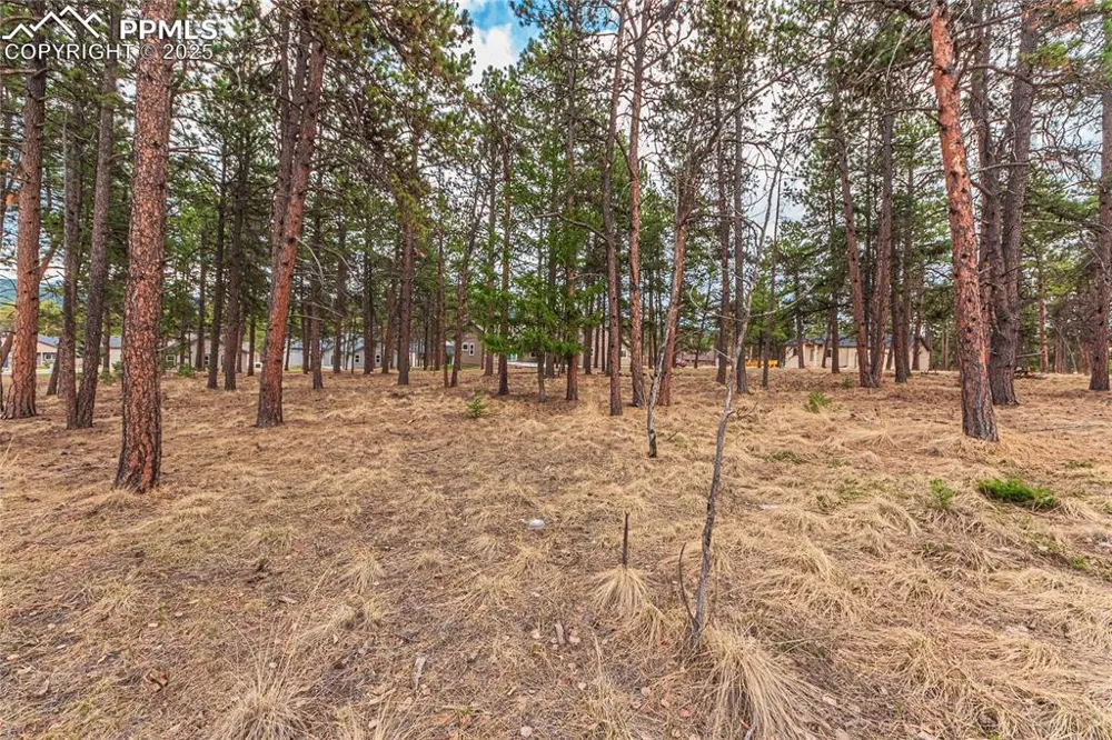 1290 Firestone Drive Woodland Park, CO 80863