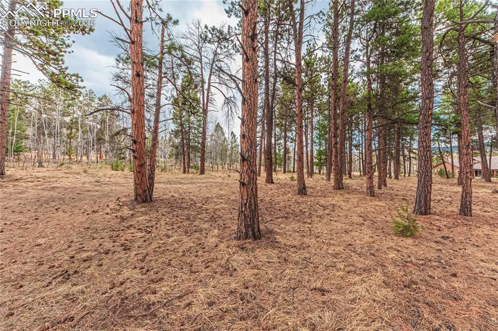 1290 Firestone Drive Woodland Park, CO 80863