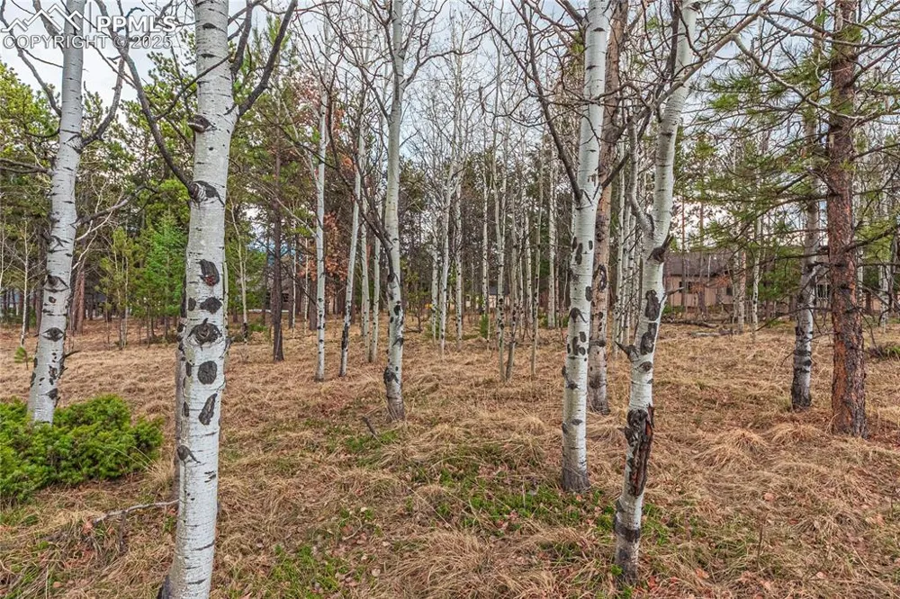 1290 Firestone Drive Woodland Park, CO 80863
