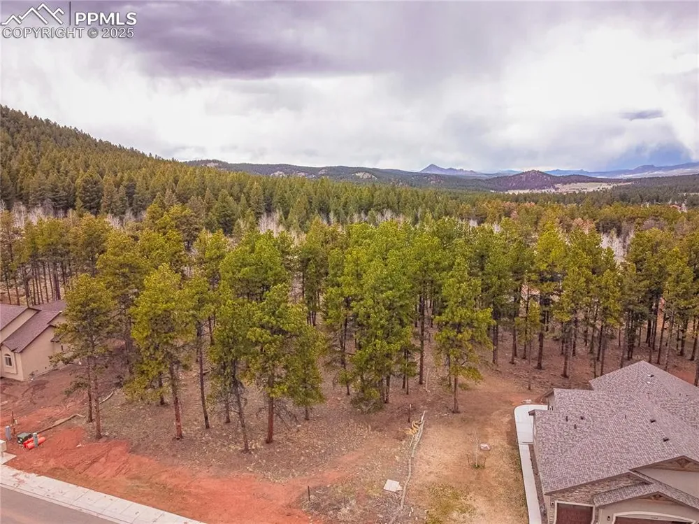 1290 Firestone Drive Woodland Park, CO 80863