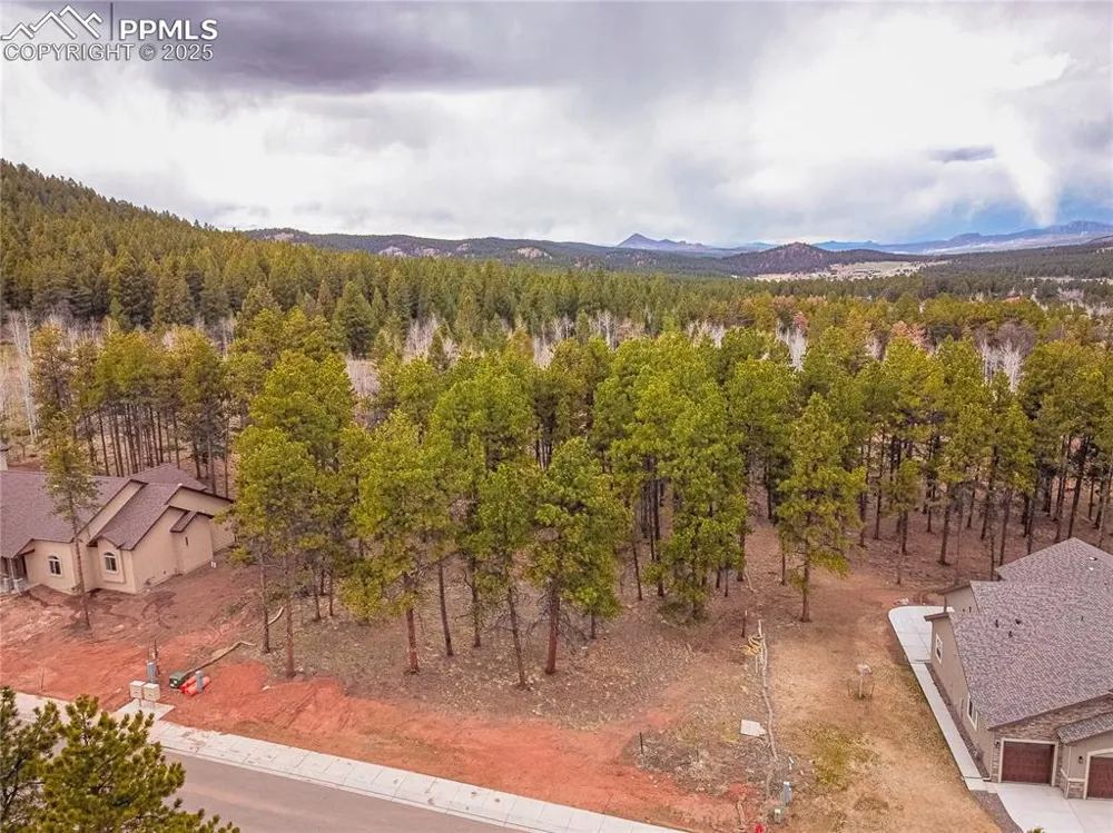 1290 Firestone Drive Woodland Park, CO 80863