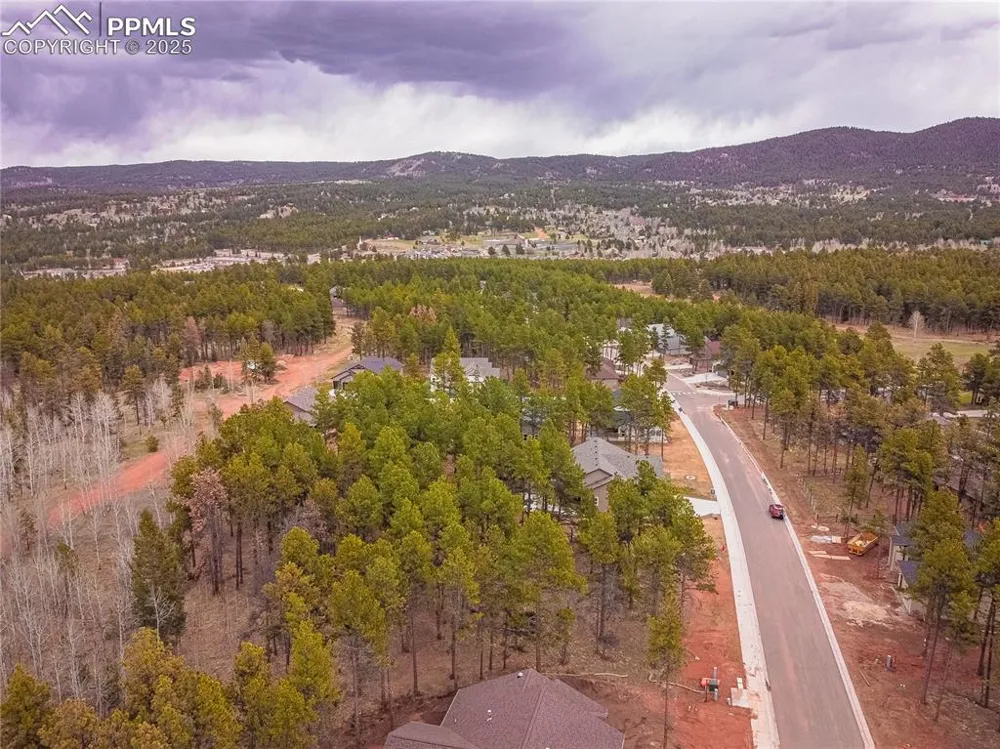 1290 Firestone Drive Woodland Park, CO 80863