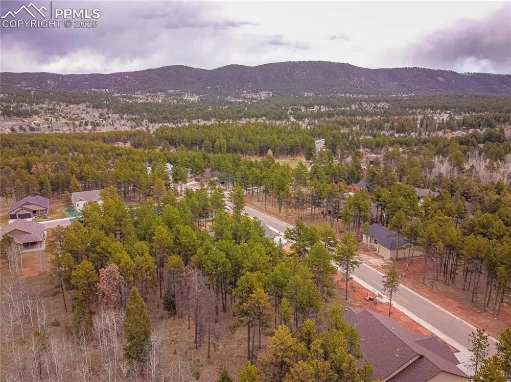1290 Firestone Drive Woodland Park, CO 80863