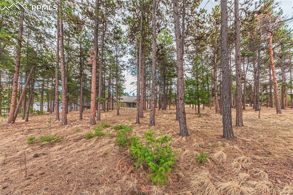 1290 Firestone Drive Woodland Park, CO 80863