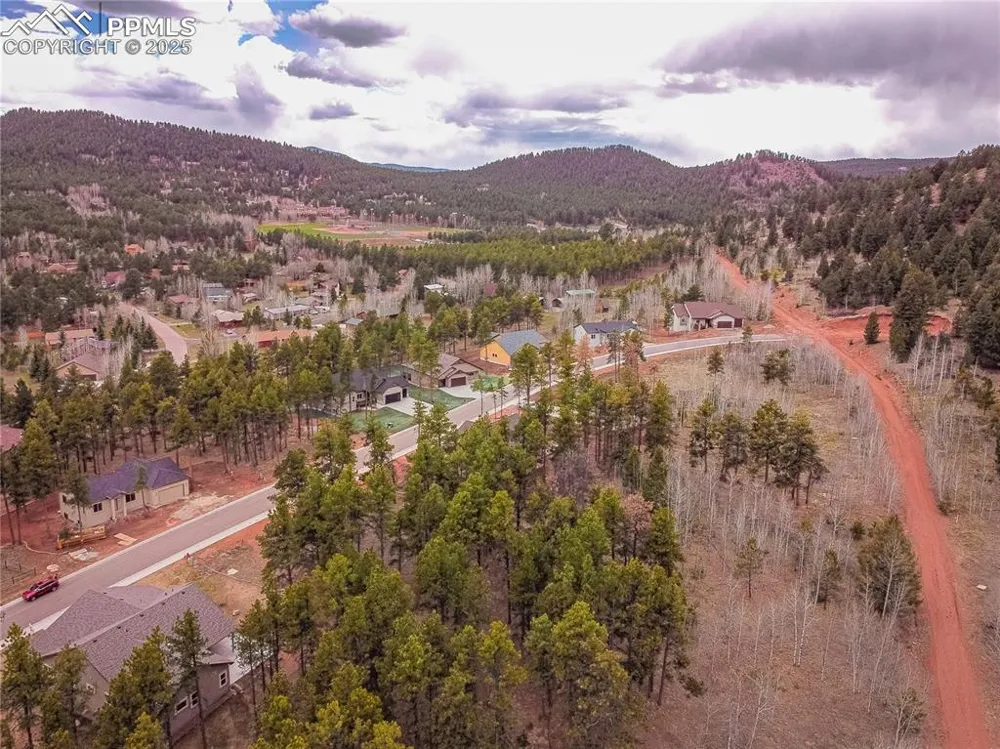 1290 Firestone Drive Woodland Park, CO 80863