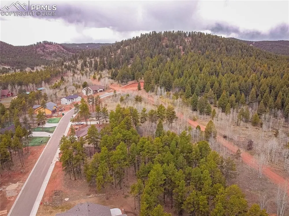 1290 Firestone Drive Woodland Park, CO 80863