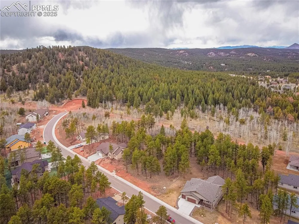 1290 Firestone Drive Woodland Park, CO 80863
