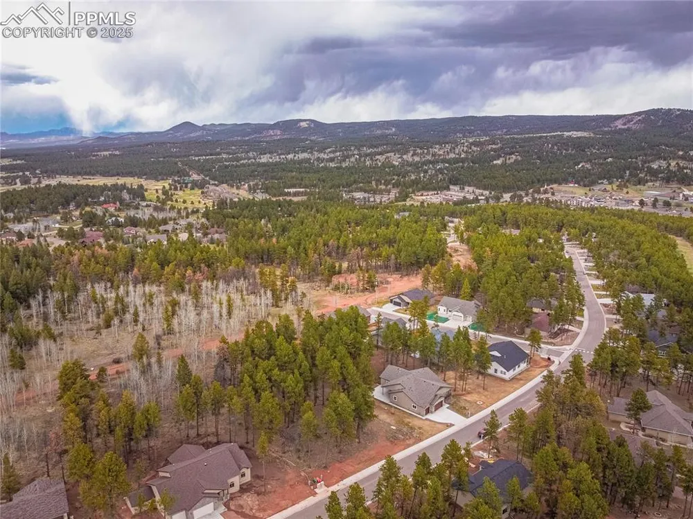 1290 Firestone Drive Woodland Park, CO 80863