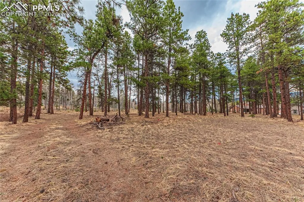 1290 Firestone Drive Woodland Park, CO 80863