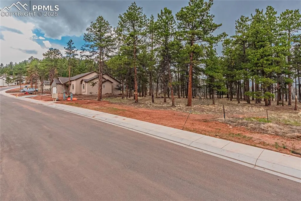 1290 Firestone Drive Woodland Park, CO 80863