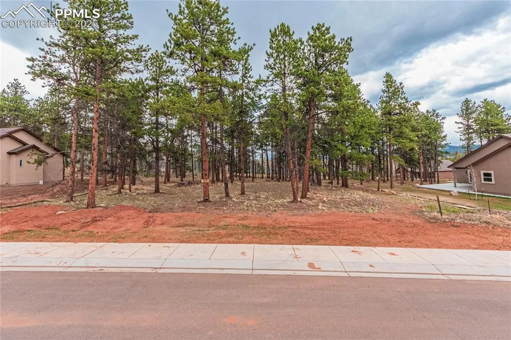 1290 Firestone Drive Woodland Park, CO 80863