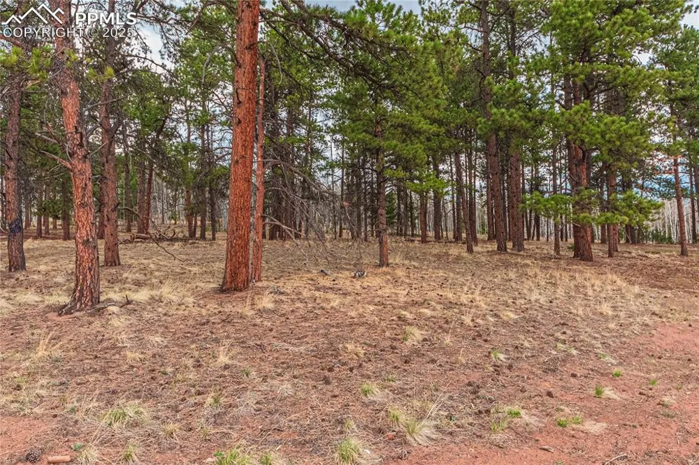 1290 Firestone Drive Woodland Park, CO 80863