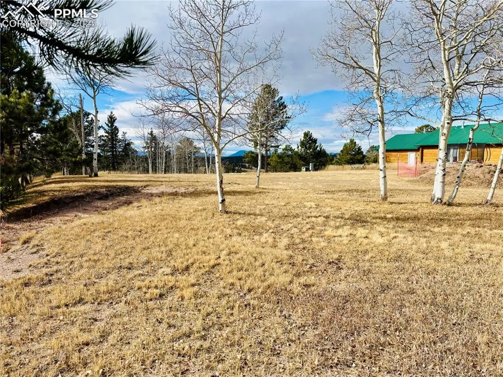 799 Elfin Glen Drive Divide, CO 80814