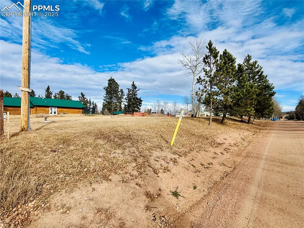 799 Elfin Glen Drive Divide, CO 80814