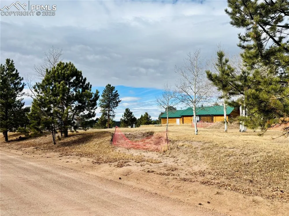 799 Elfin Glen Drive Divide, CO 80814