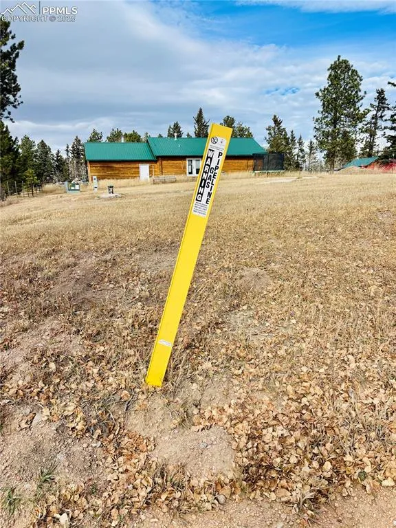 799 Elfin Glen Drive Divide, CO 80814