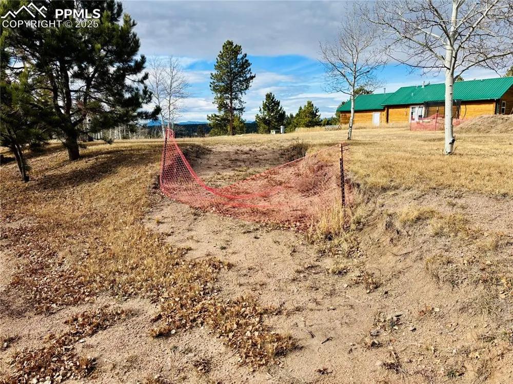 799 Elfin Glen Drive Divide, CO 80814