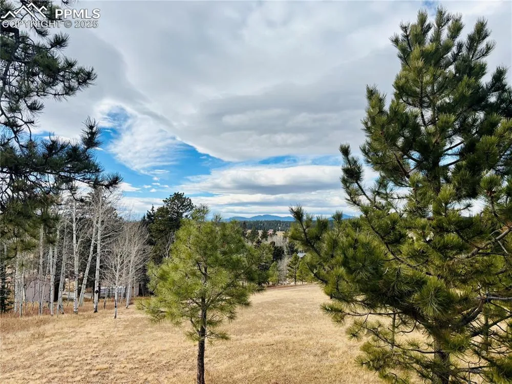 799 Elfin Glen Drive Divide, CO 80814