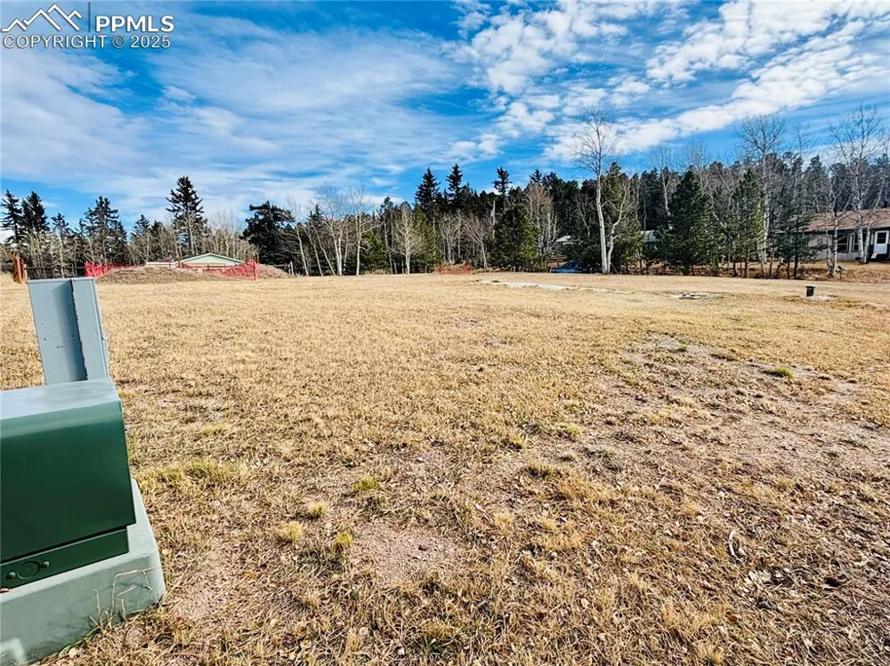 799 Elfin Glen Drive Divide, CO 80814