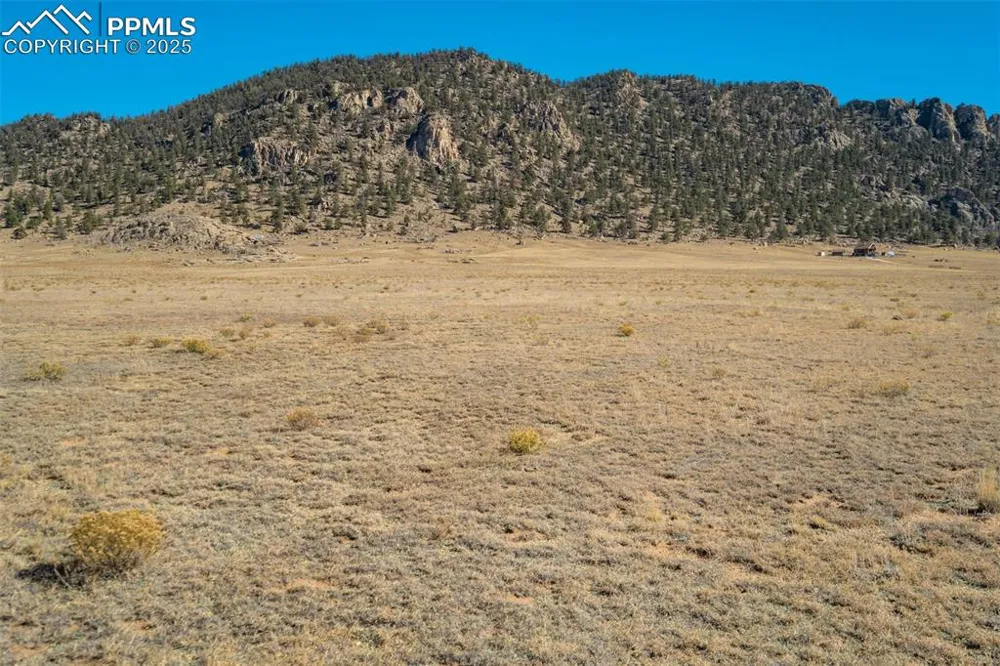 1354 Puma Hills Road Lake George, CO 80827