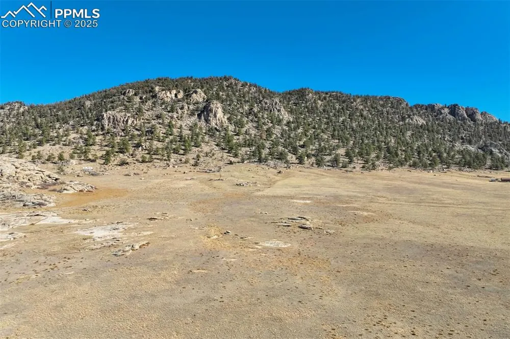 1354 Puma Hills Road Lake George, CO 80827